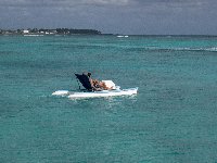 Pedalo Trou aux Biches Mont Choisy Activities Snorkelling Scubaa diving Scuba diving Fishing water skiing speedboat tours glass-bottom boats parasailing pedalos sea kayaking Deep sea fishing pche au gros plonge sous marine visite des les plonge masque tubas